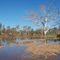 weeli wolli crossing