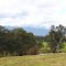 Lovely Landscape