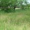 Quail Court, $8850, close to community pool, 68'x150'x200'x135', #5-1-14