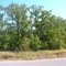 Johnston Lane, $13590, backs up to greenbelt , .46 acre