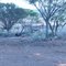 old camp