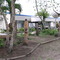 York Island School