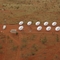 Solar farm- power from the sun