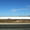 Salt Plain - Yorketown, South Australia