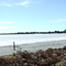 Salt Flat - Yorketown, South Australia