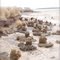 Chinamans Point, Port Albert, Victoria, Australia