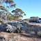 Salt bush and road trains, Eyre Highway