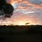 sunrise Yalata free camp