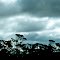 Rain clouds over Eyre Hwy / SA (Aug. 1979)