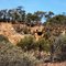 The Bluff