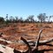 The Old Diggings