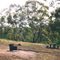 Enfield State Park - Surface Point camp ground