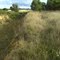 Skipton Rail Trail