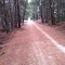 Skipton Rail Trail - behind Scarsdale cemetery