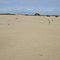 Dune near Zeehan