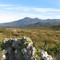 Mt Agnew from near Mt Zeehan