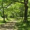 Berry Springs Park, Williamson County, TX