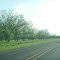Highway 29 East of Georgetown