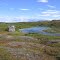 Pilgrim River, Nome, AK