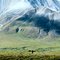 Denali national Park