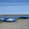 Kayaking Harsens Island