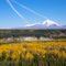 Mt. Drum, Mt. Sanford (rear left) - autumn over the Copper River