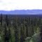 Wrangell Mtns -Glennallen AK 6-12-2010