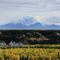 Mt. Drum, 3661 m