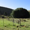 FRERE DELL FARM, MOLTENO DISTRICT, EASTERN CAPE, SOUTH AFRICA - ON WILLOW NOOK