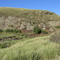 FRERE DELL FARM, MOLTENO DISTRICT, EASTERN CAPE, SOUTH AFRICA - ON WILLOW NOOK