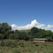 MOLTENO DISTRICT, WONDERBOOM, THE FARM I WAS BORN & GREW UP ON - VIEW FROM  THE HOUSE