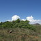 MOLTENO DISTRICT, WONDERBOOM, THE FARM I WAS BORN & GREW UP ON - VIEW TOWARDS THE RIVER