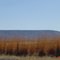 Table mountain next to M5 far from Cape Town
