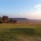 Near Kestell in the Free State, South Africa