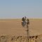 Farm near Sterkfontein Dam