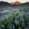 Spring in Big Bend