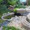 Cat lapping water from exhibit at Life Style centre.