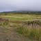Mist over hills Wakkerstroom