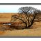 Mpumalanga Highveld Winter Landscape