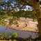 From the banks of the Olifants river