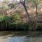 What a great place to have a bath (when you are a hippo)