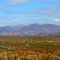 Xstrata Proposed Anchor Farm Site