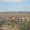 View to pan in north west on Marrick
