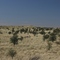 Kalahari