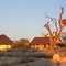 KalahariGemsbokPark- Camp