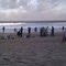 Fishermen During The Sardine Run