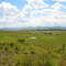 Franklin south africa