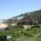 Apartments opposite Sheffield Beach view site looking west (1)