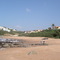 Thompson's Bay  (Natal)