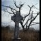 Grave